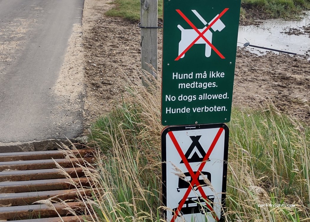 (6857) Blåvand - 62 Skallingevej — foto