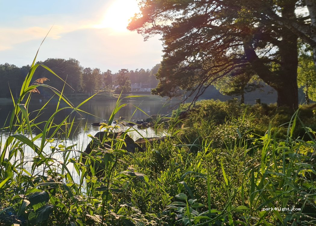 Långasjönäs Camping & Stugby — foto 5