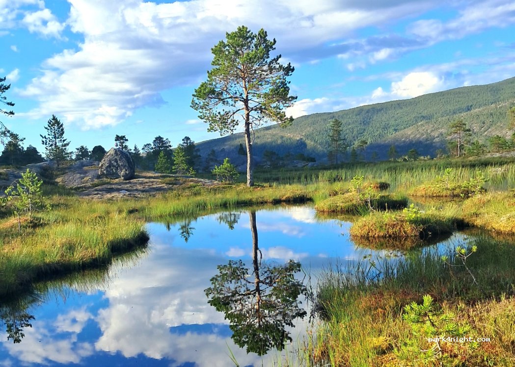 Notvann Camping — foto 2