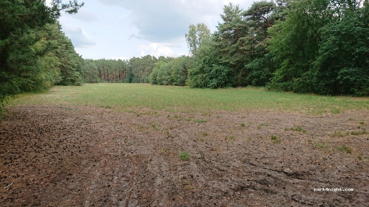 (15748) Märkisch Buchholz - 11C Birkenstraße — foto