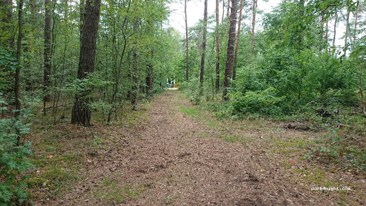 (15748) Märkisch Buchholz - 11C Birkenstraße — foto 2