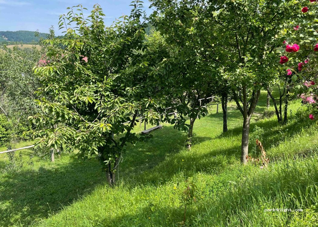 Camping bradova — foto 3