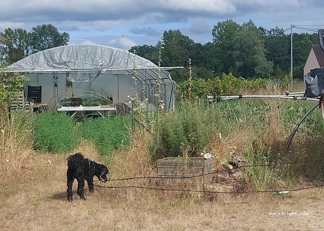 Les Jardins d'Aniben — foto 4