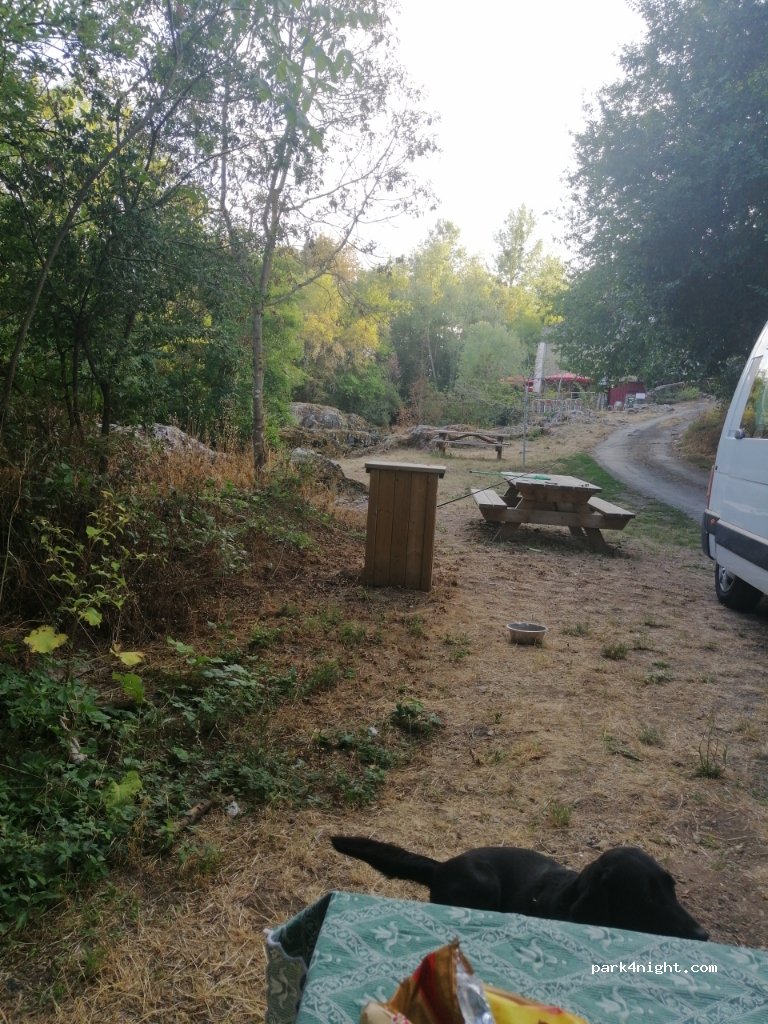 (79100) Luzay - 21 Rue Trompé - Souris — foto