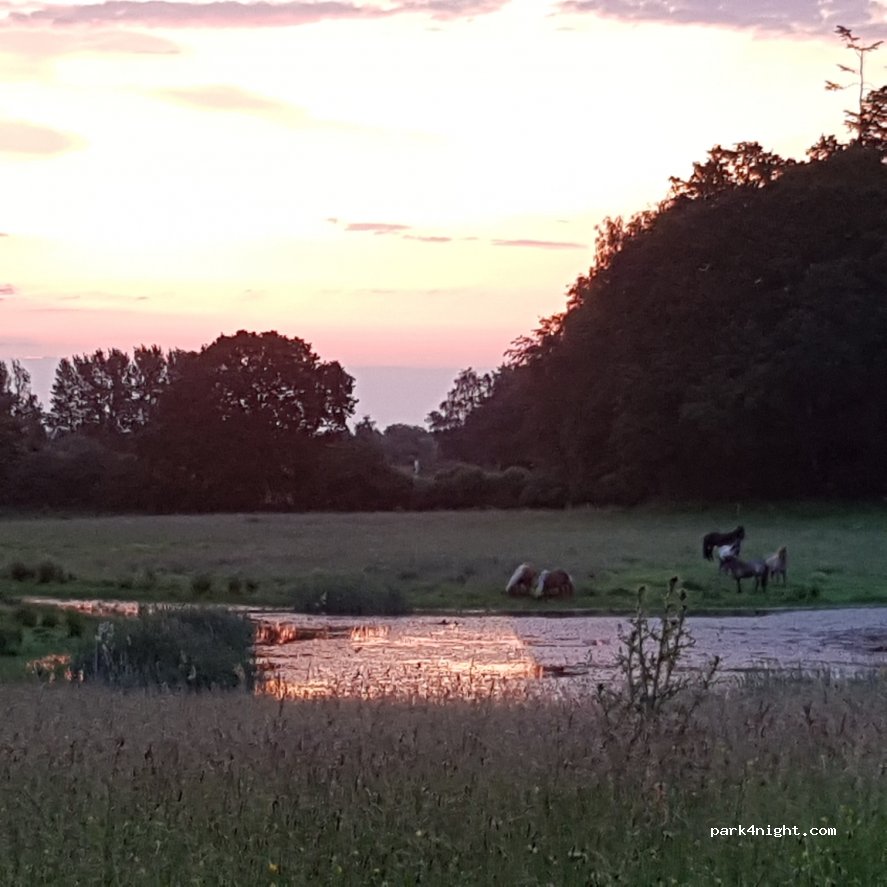 (4572) Nørre Asmindrup - 2 Ulkerupvej — foto