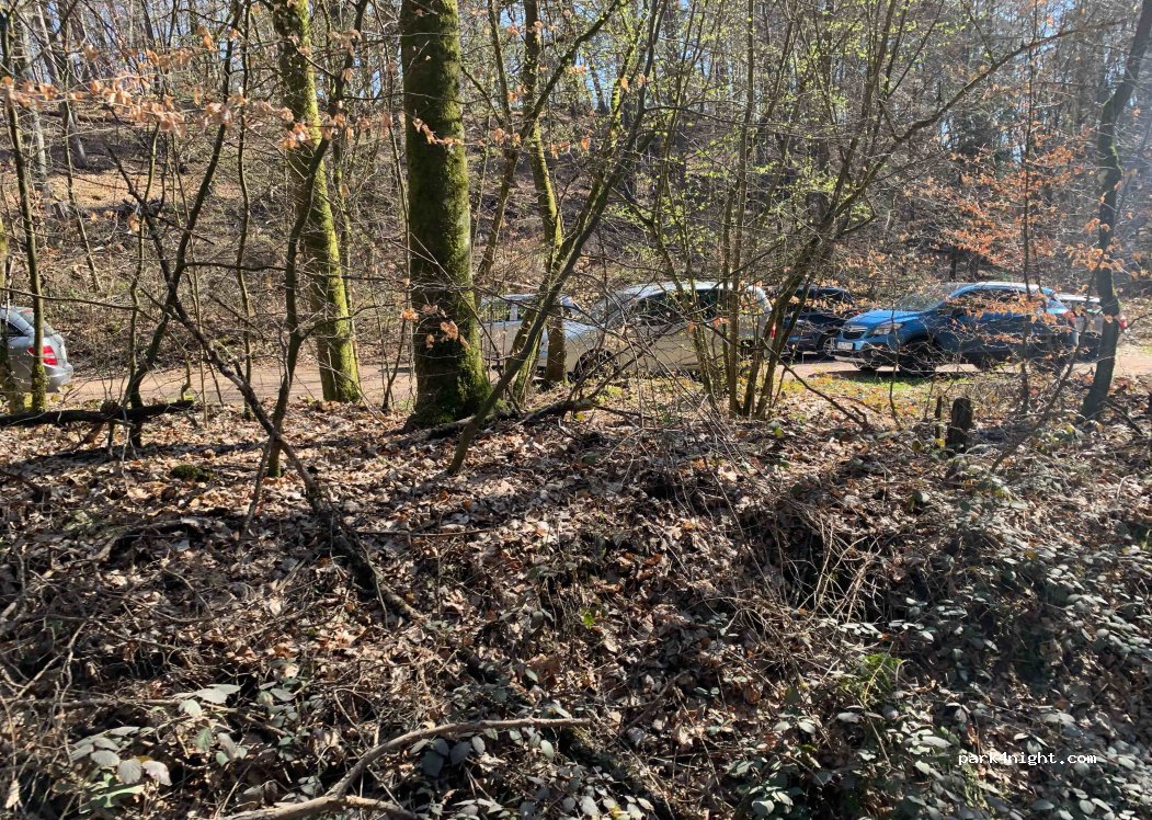 (66892) Langwieden / Bruchmühlbach-Miesau - L466 — foto
