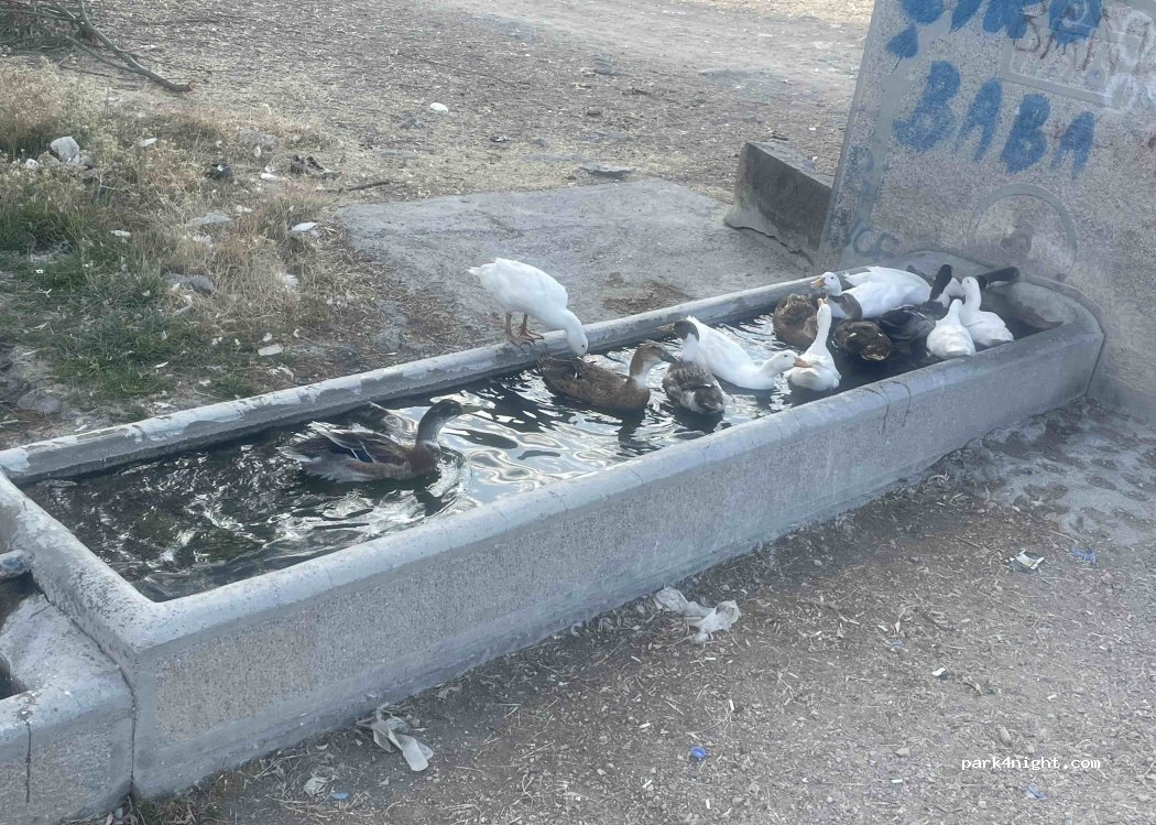 (06830) Ankara - Unnamed Road — foto 5