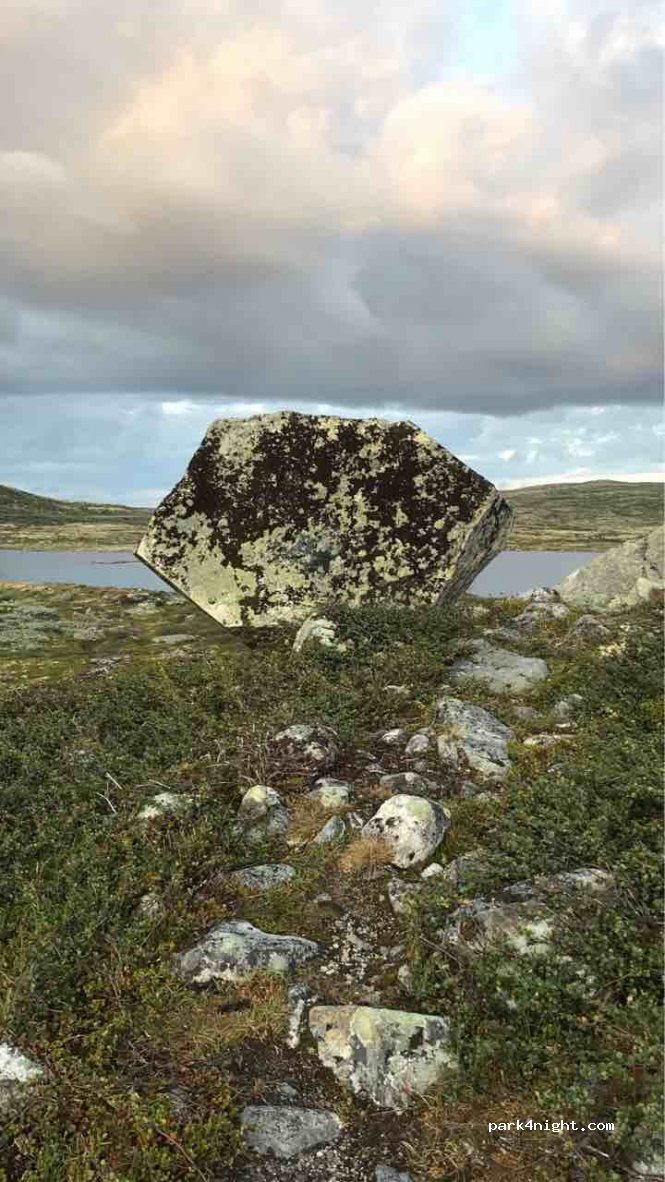 (3595) Haugastøl - Riksveg 7 — foto