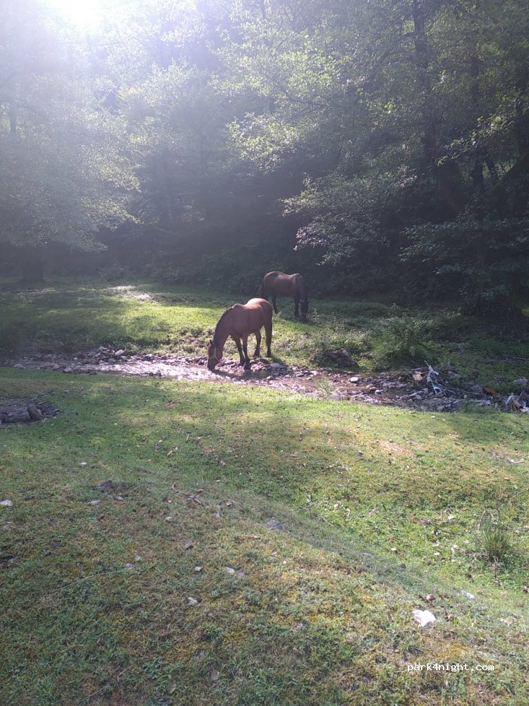() Valea Satului - Unnamed Road — foto 2