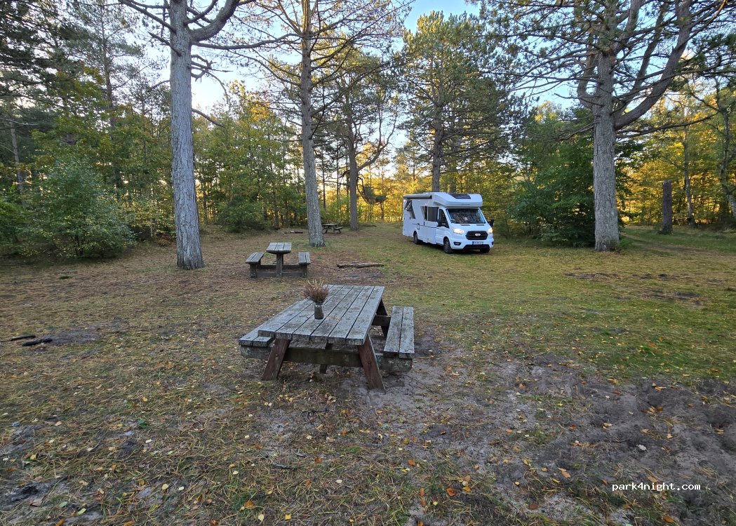 (9982) Ålbæk - Råbjergvej — foto 5
