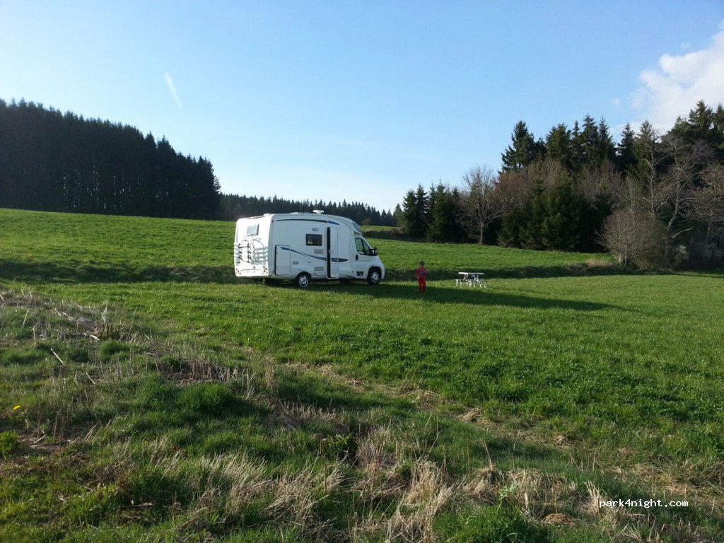 (63840) Sauvessanges - D111 — foto 2