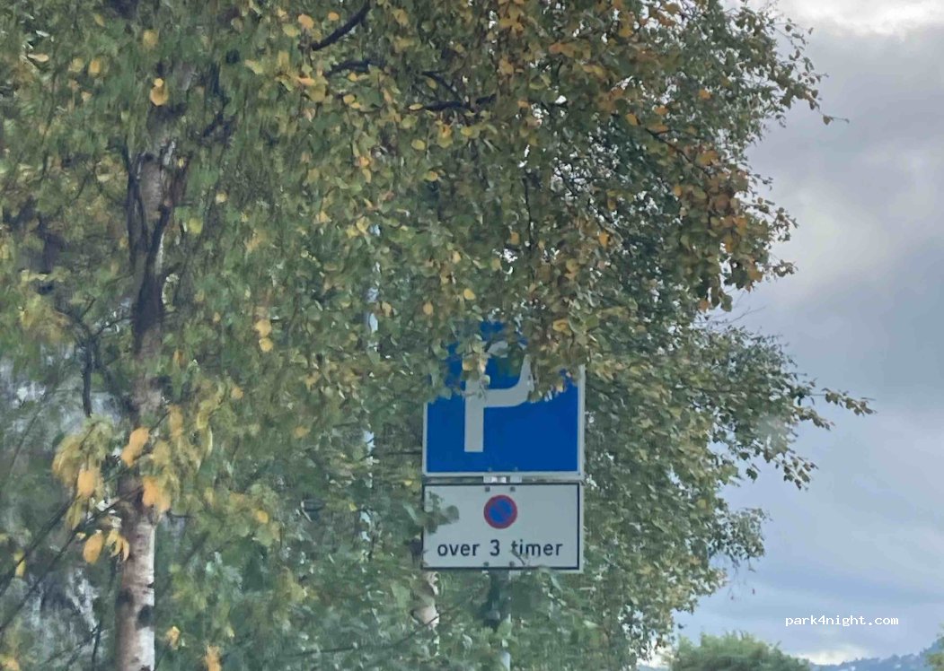 (7041) Trondheim - 4 Ladehammerveien — foto 4