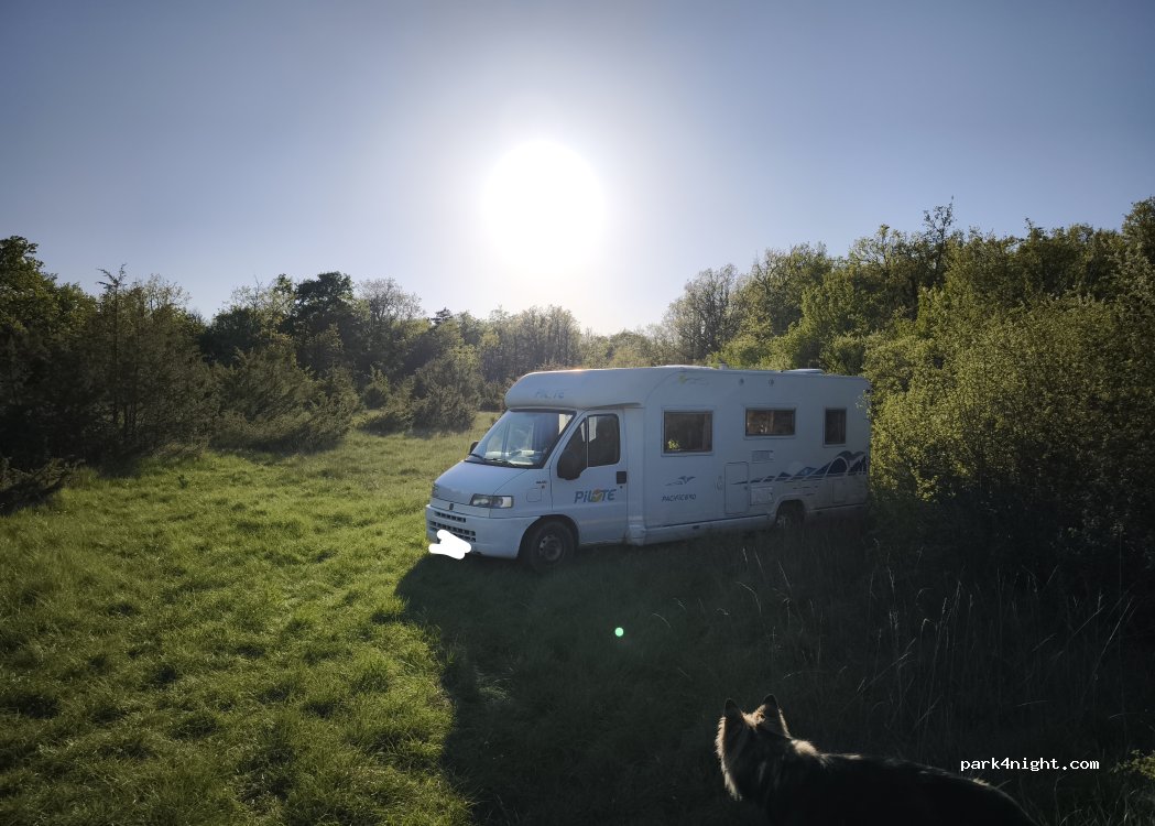 (46230) Bach - Laganic — foto 2