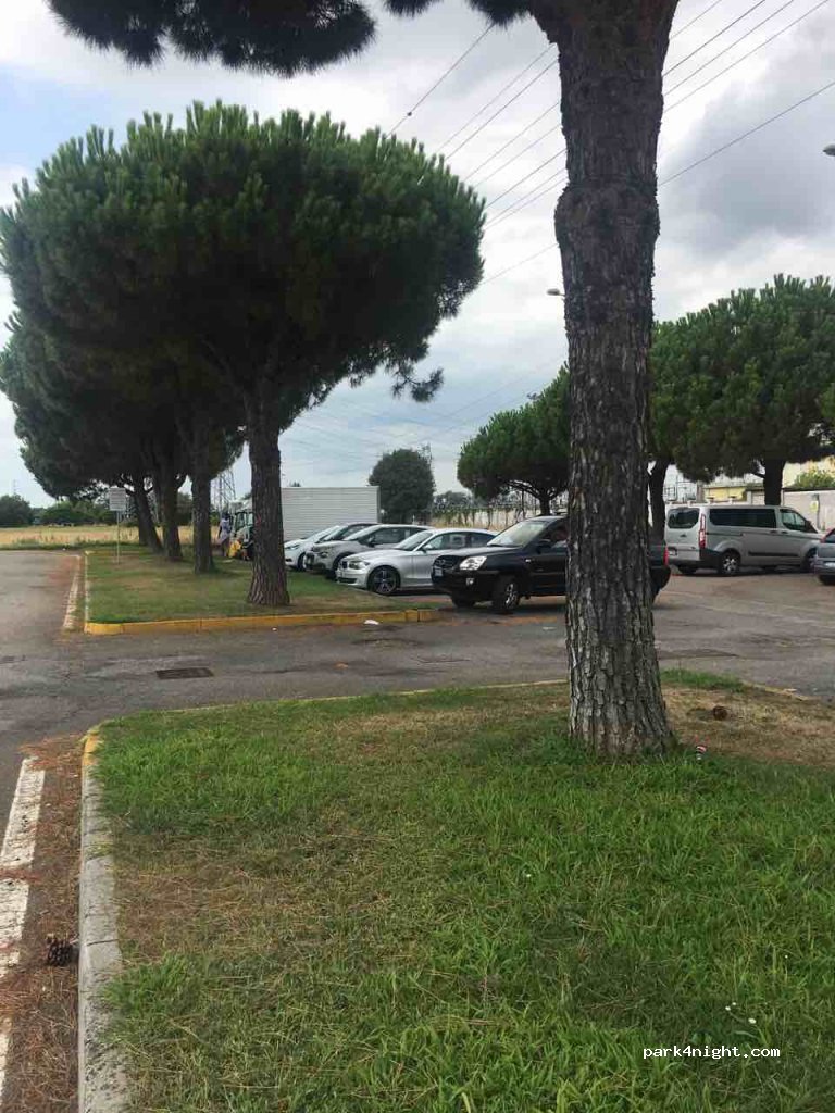 () Magenta - — foto 3