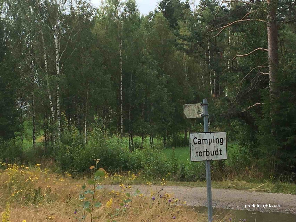(1970) Hemnes - Unnamed Road — foto 3