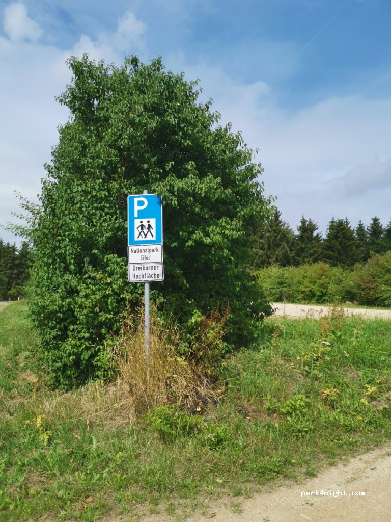 (53937) Schleiden - Thol — foto