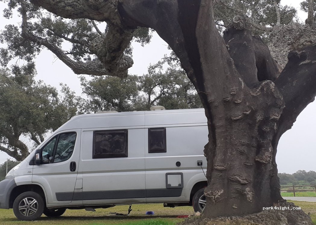 Camping Alentejo — foto 4