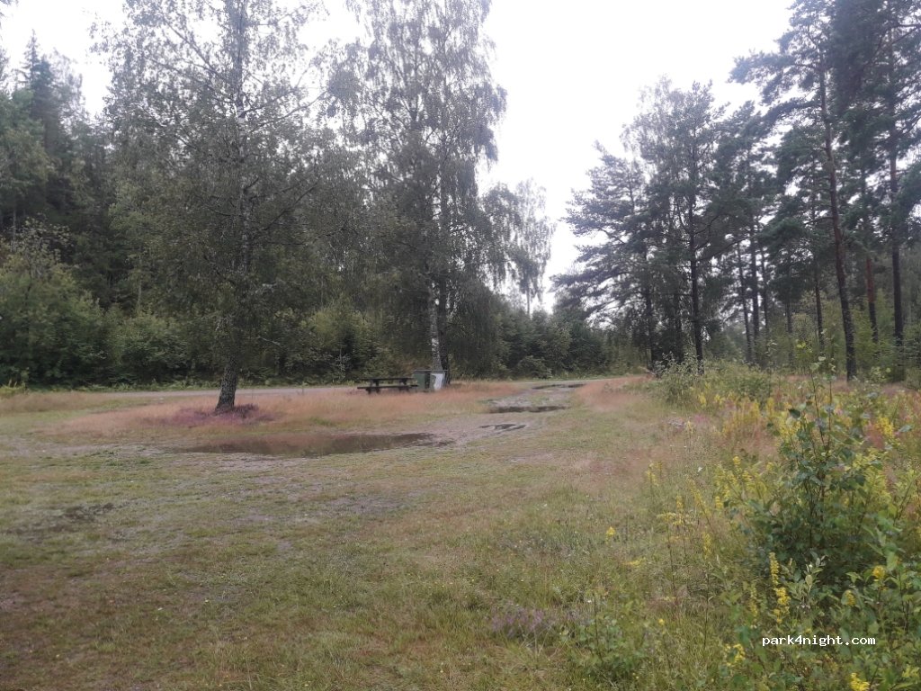 (450 63)  - 12 LJUSEBRÅTEN — foto