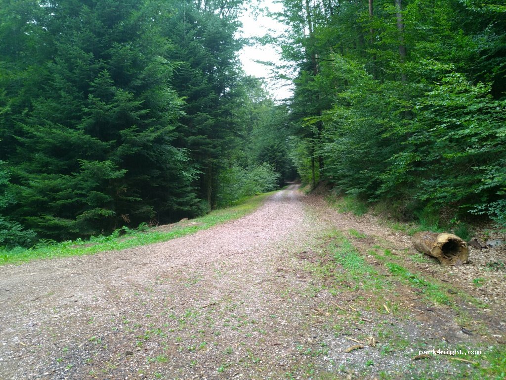 (88260) Escles - Unnamed Road — foto 2