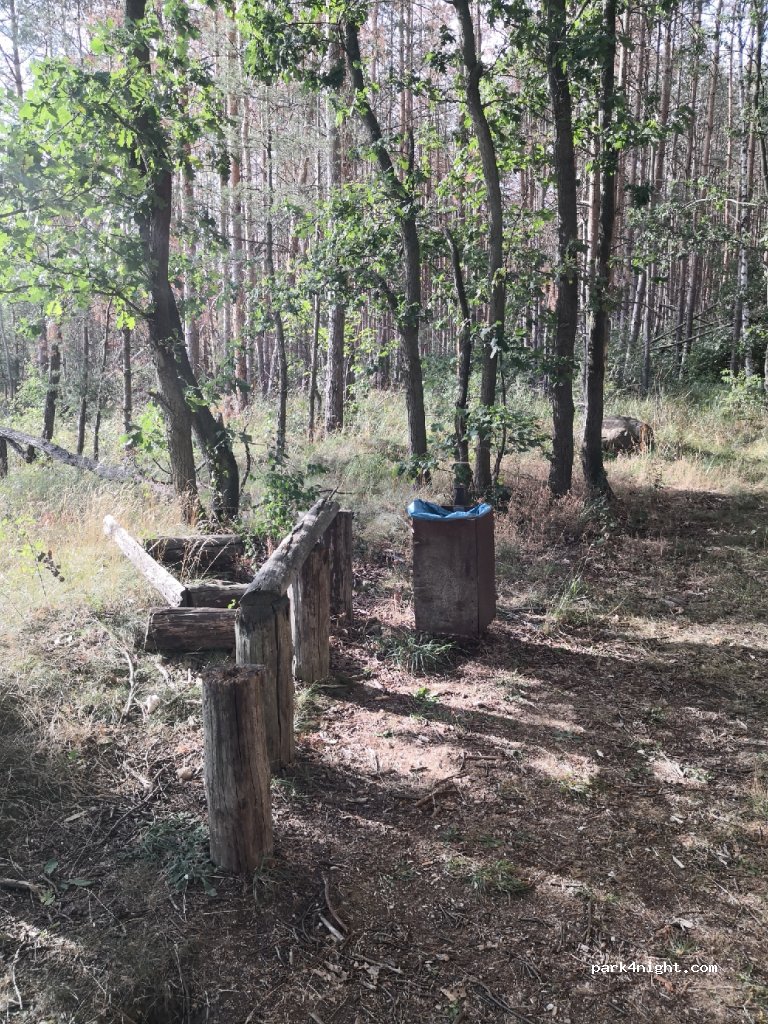 (06774) Muldestausee - Unnamed Road — foto 2
