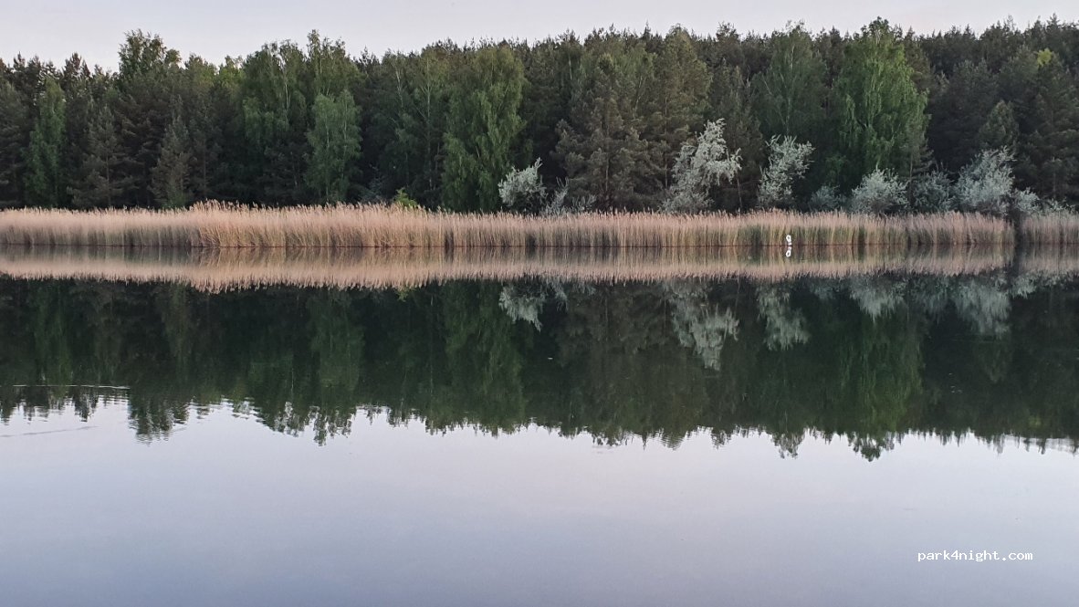 (06774) Muldestausee - Unnamed Road — foto 3