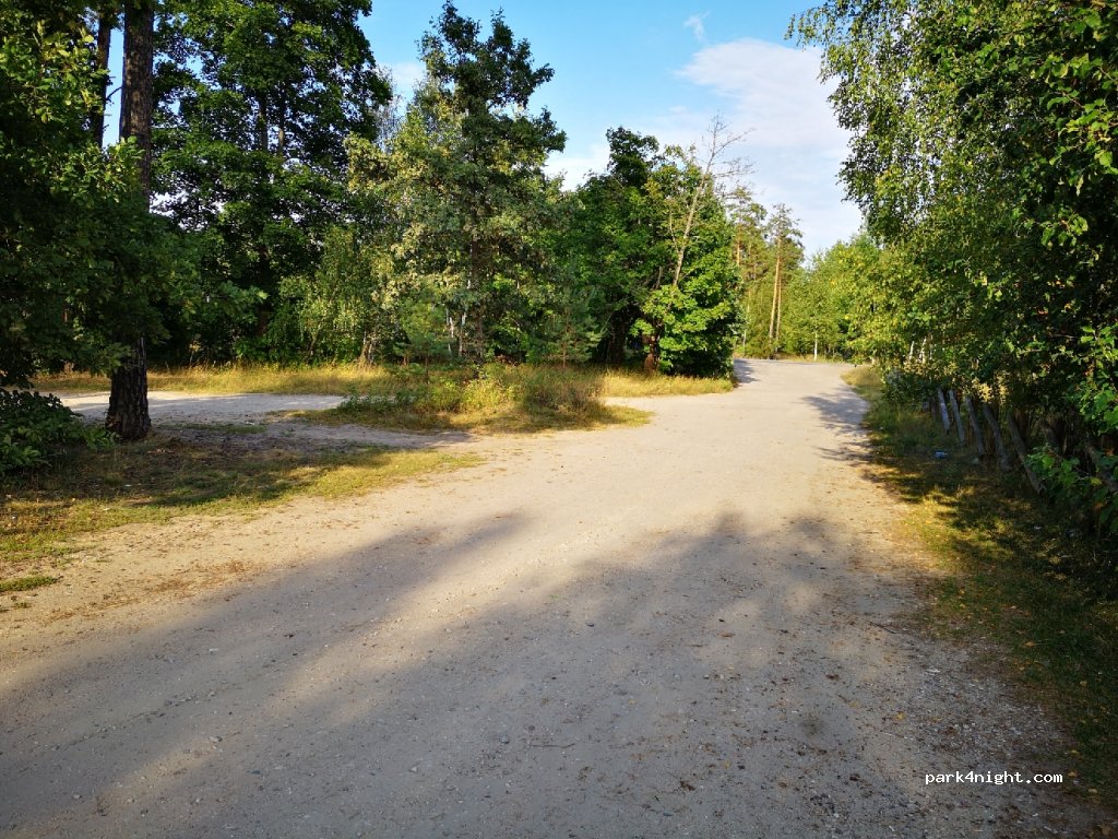 (12-200) Borki - Droga Krajowa 63 — foto