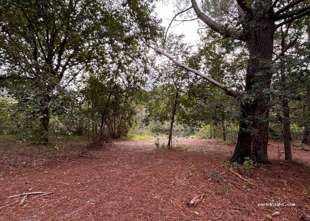 (40600) Biscarrosse - Route du Parterre — foto 4
