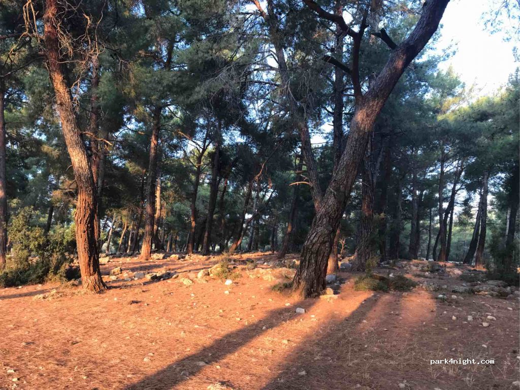 (48360) Seydikemer/Muğla - Unnamed Road — foto