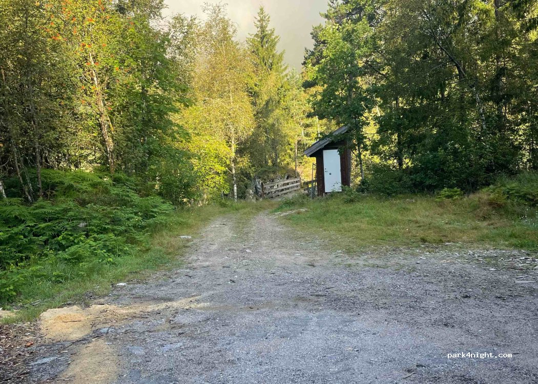 (4520) - Primær Fylkesveg 460 — foto 3
