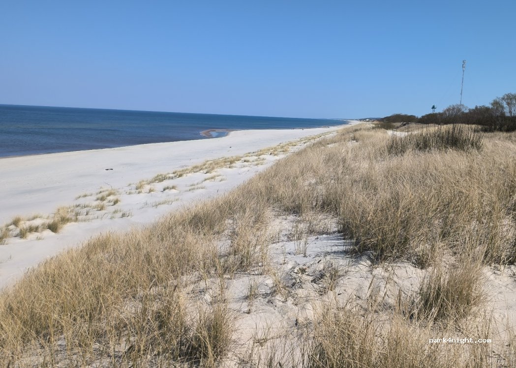 (238535) Rybachy - Unnamed Road — foto 4