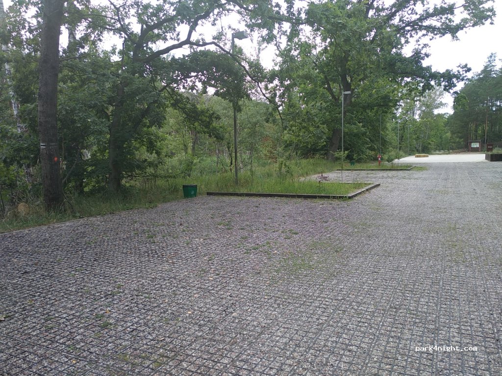 (05) Droga palmirska - — foto 2