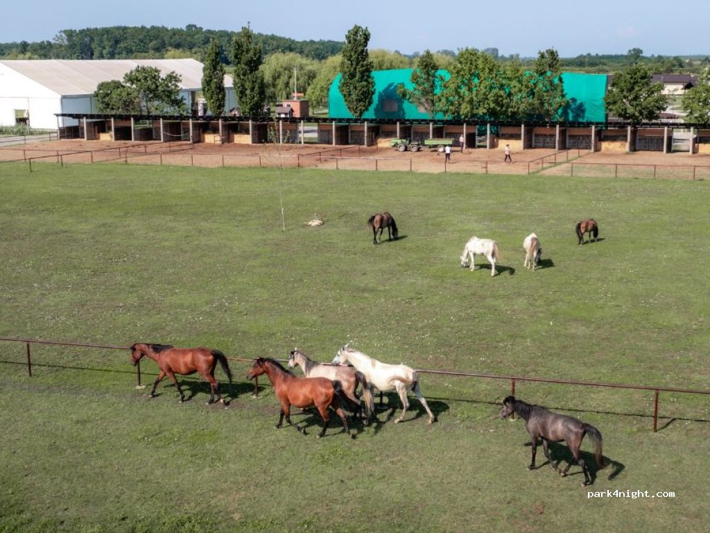 Ranč Ramarin — foto 3