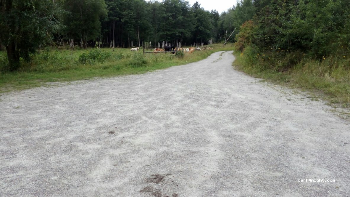 (451 92) Uddevalla - 120 KODEBACKEN — foto 3