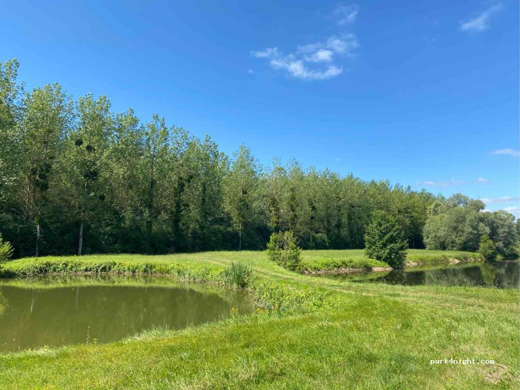 (51300) Orconte - Les Plumes Gélines — foto 2