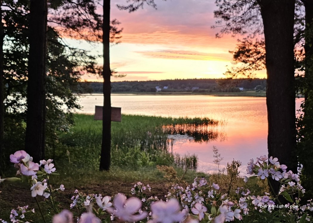 Camperowe Pole U Tolka — foto 3
