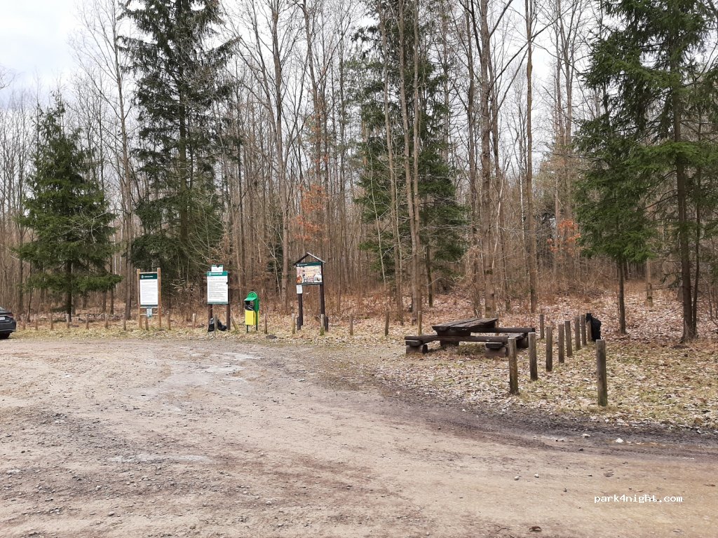 (05-319) Cegłów - Unnamed Road — foto