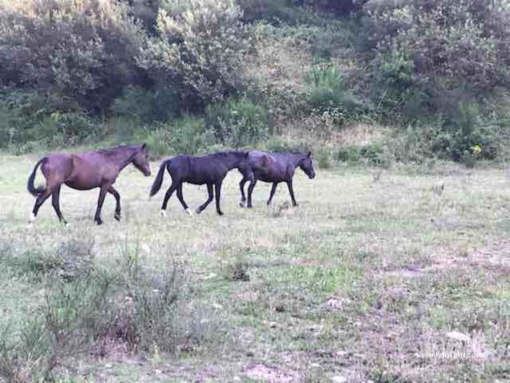 () A Pobra do Caramiñal - CP-6705 — foto 2