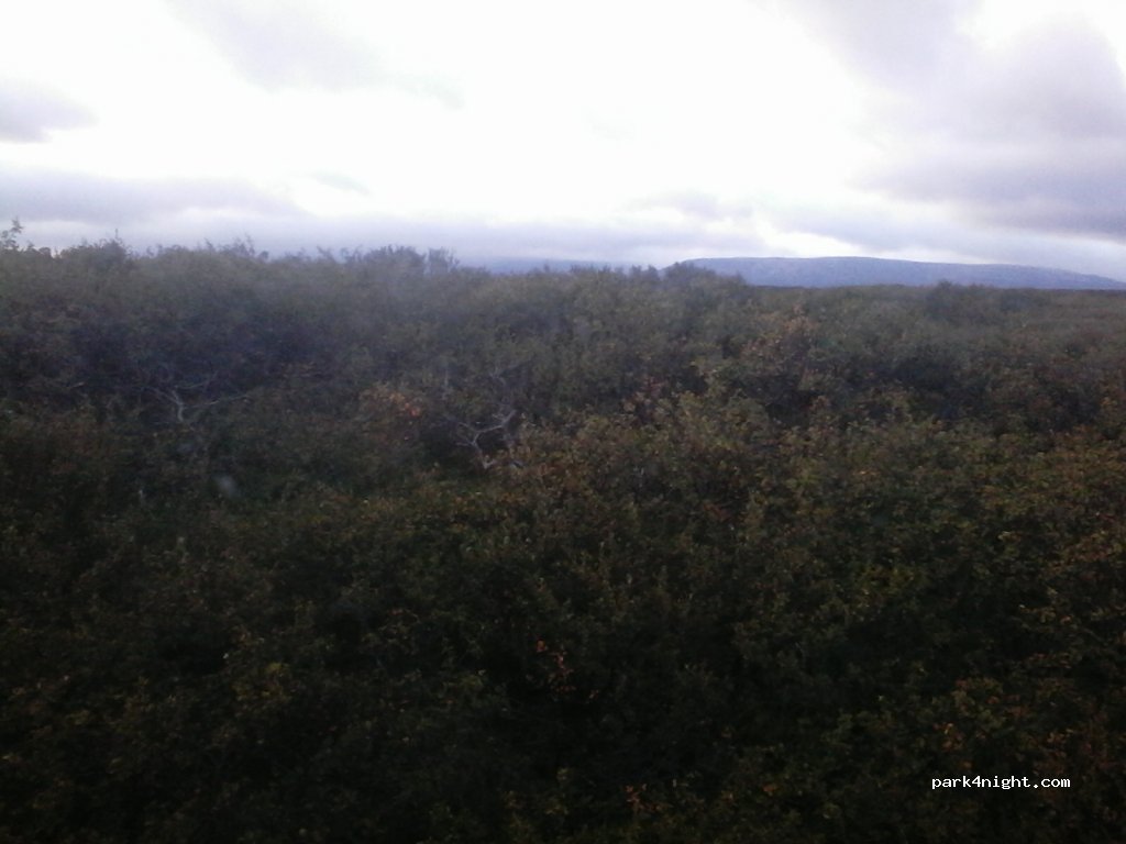 Snæfellsnesvegur — foto