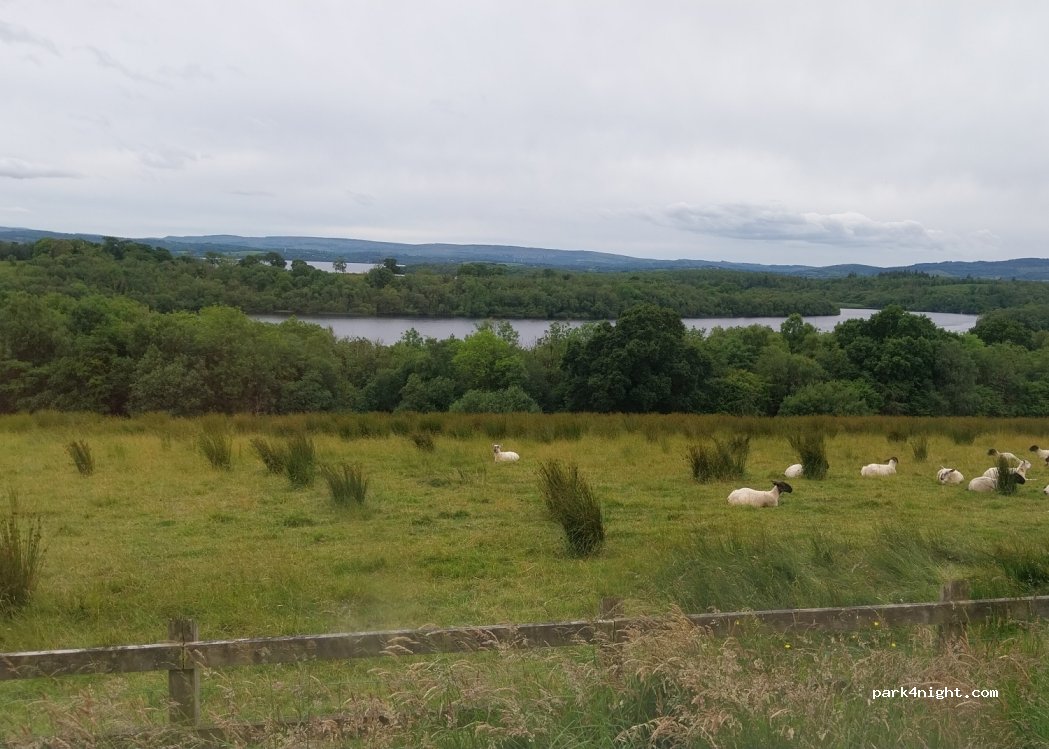 (BT93 1RR) - Unnamed Road — foto 4