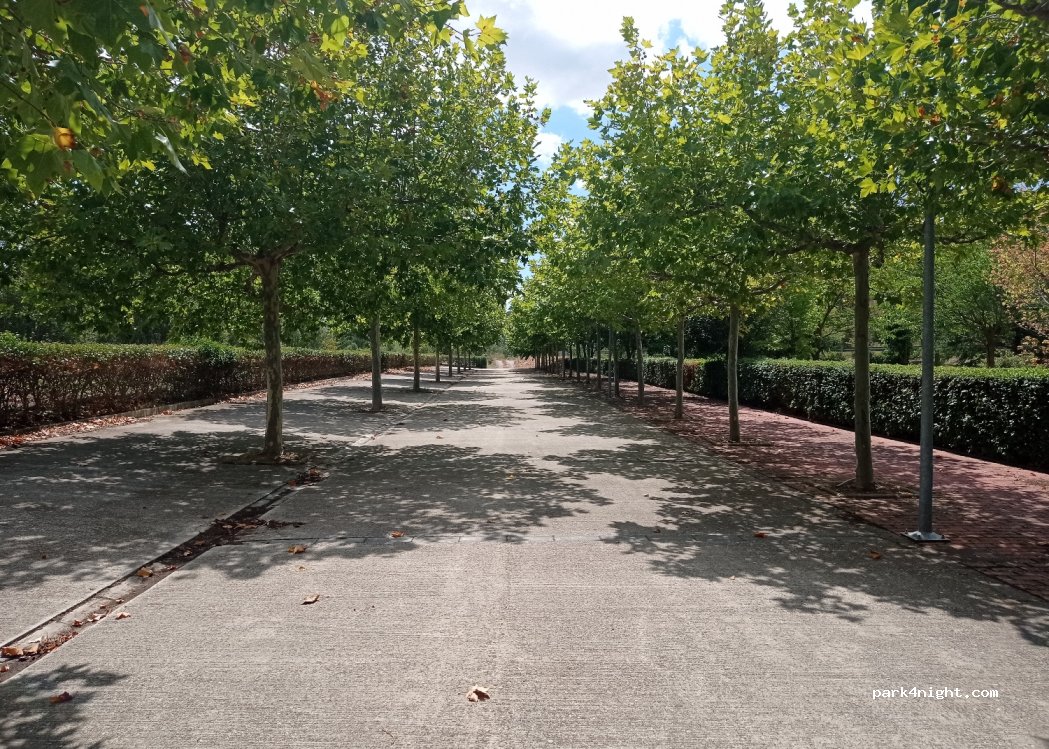 (31487) Liédena - 4 Camino Sangüesa — foto
