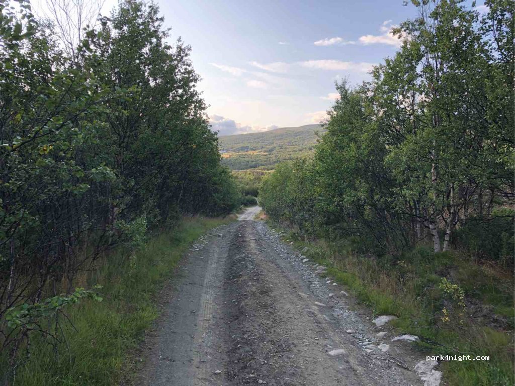 (2660) - Primær Fylkesveg 29 — foto 2