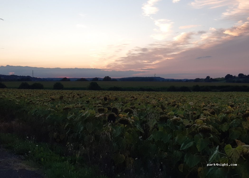 (61360) Coulimer - D272 — foto 3