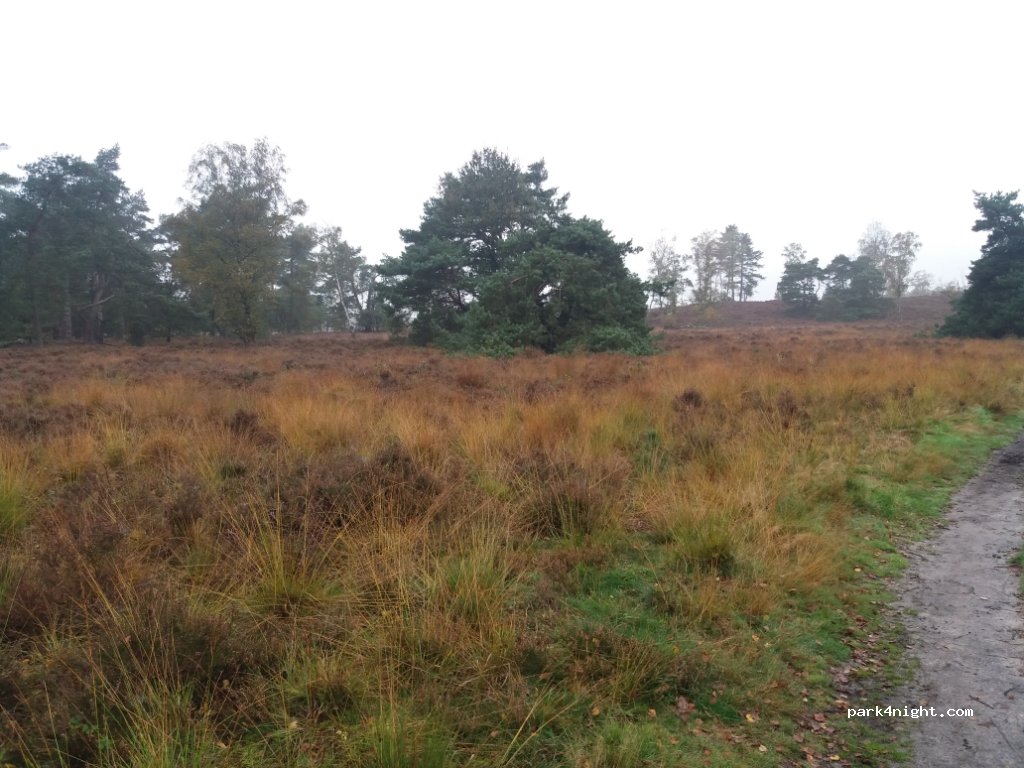 (3832) Leusden - Treekerweg — foto 2