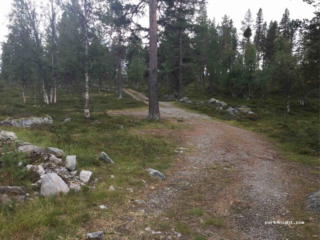 (2443) Drevsjø - Unnamed Road — foto 2