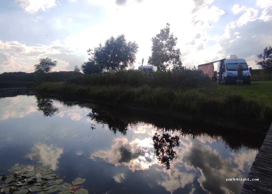 Wetland — foto 4