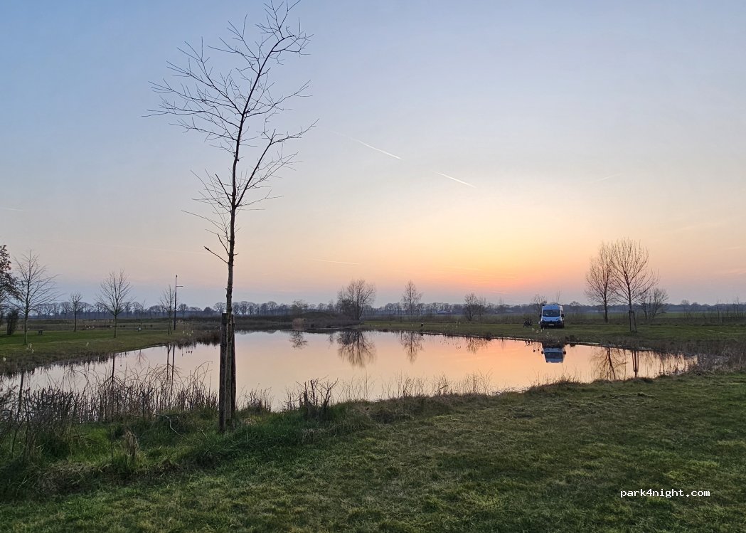 Wetland — foto 5