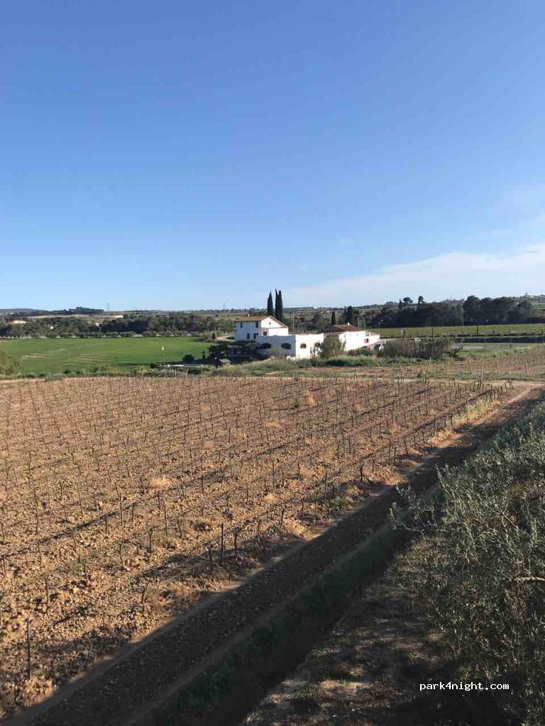 Cellers Carol Vallès — foto