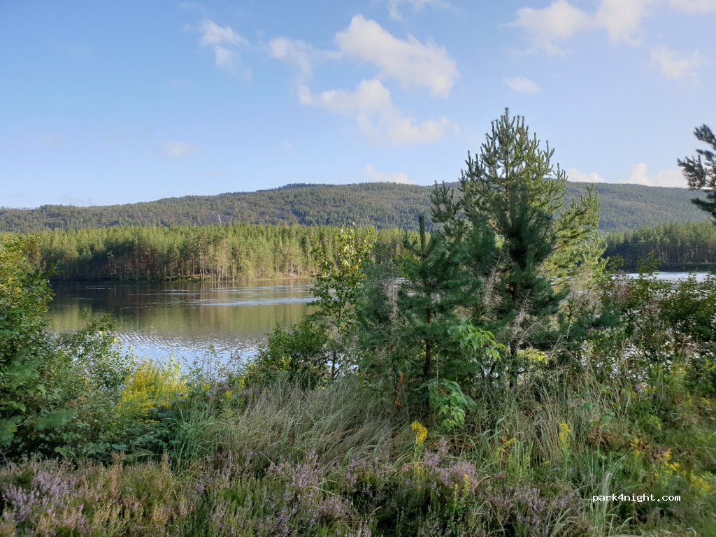 (3855)  - Sekundær Fylkesveg 352 — foto