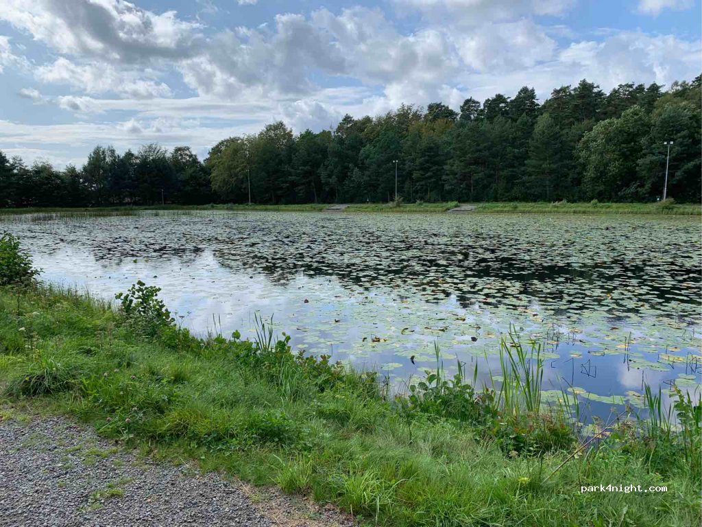 Solängens Camping — foto 3