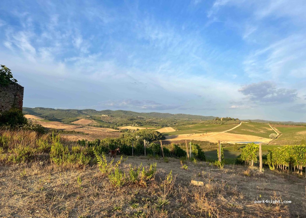 (53011) Topina - Unnamed Road — foto 3